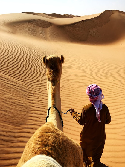 Camel led by a guide - Wahiba Sands, Oman, Wahiba desert